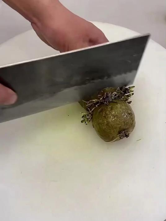 生芽的土豆拿来做造型