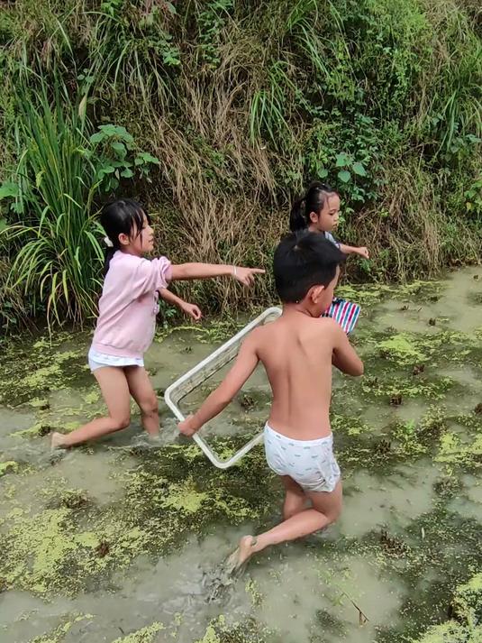 3名小孩去田里抓鱼，一抓一个准，应该不会被“竹笋炒肉”