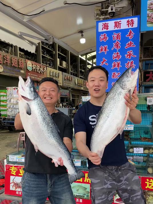 全网首测第一批上市的宁波国产大西洋鲑三文鱼