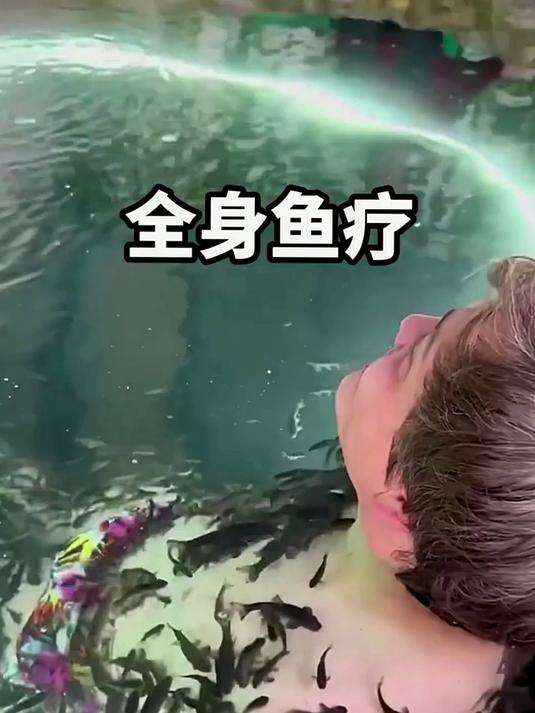 鱼疗里的鱼是什么鱼，为什么它们一点也不怕人