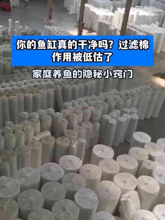 你的鱼缸真的干净吗?过滤棉作用被低估了