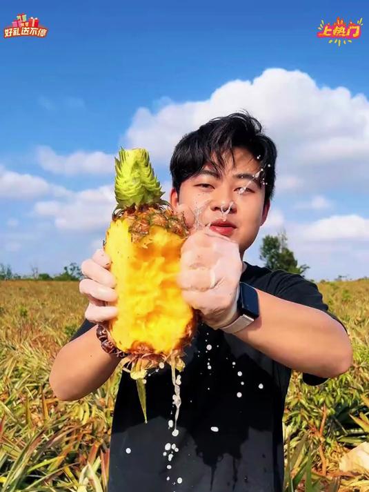 金钻凤梨不用泡盐水，可以直接生啃！一点不麻嘴，巨甜！#应季水果##新鲜水果##凤梨#