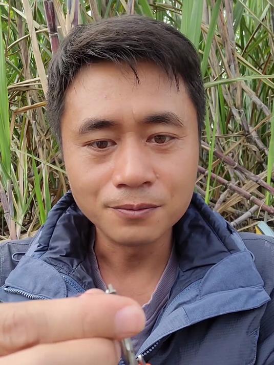 初冬鲮鱼给口弱，可以试试这个双铅梅州钓法