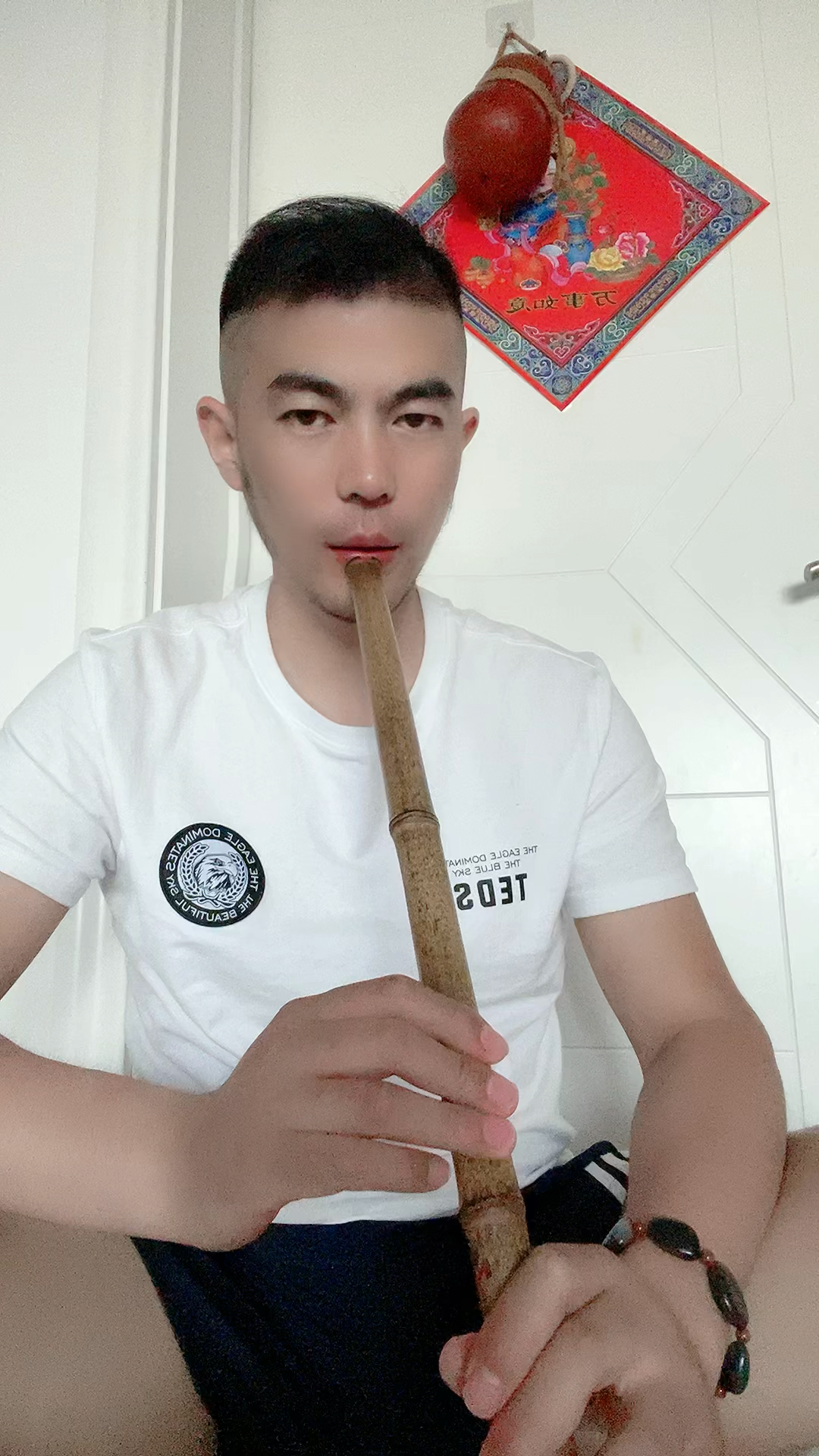 琴箫清吹大鱼海棠