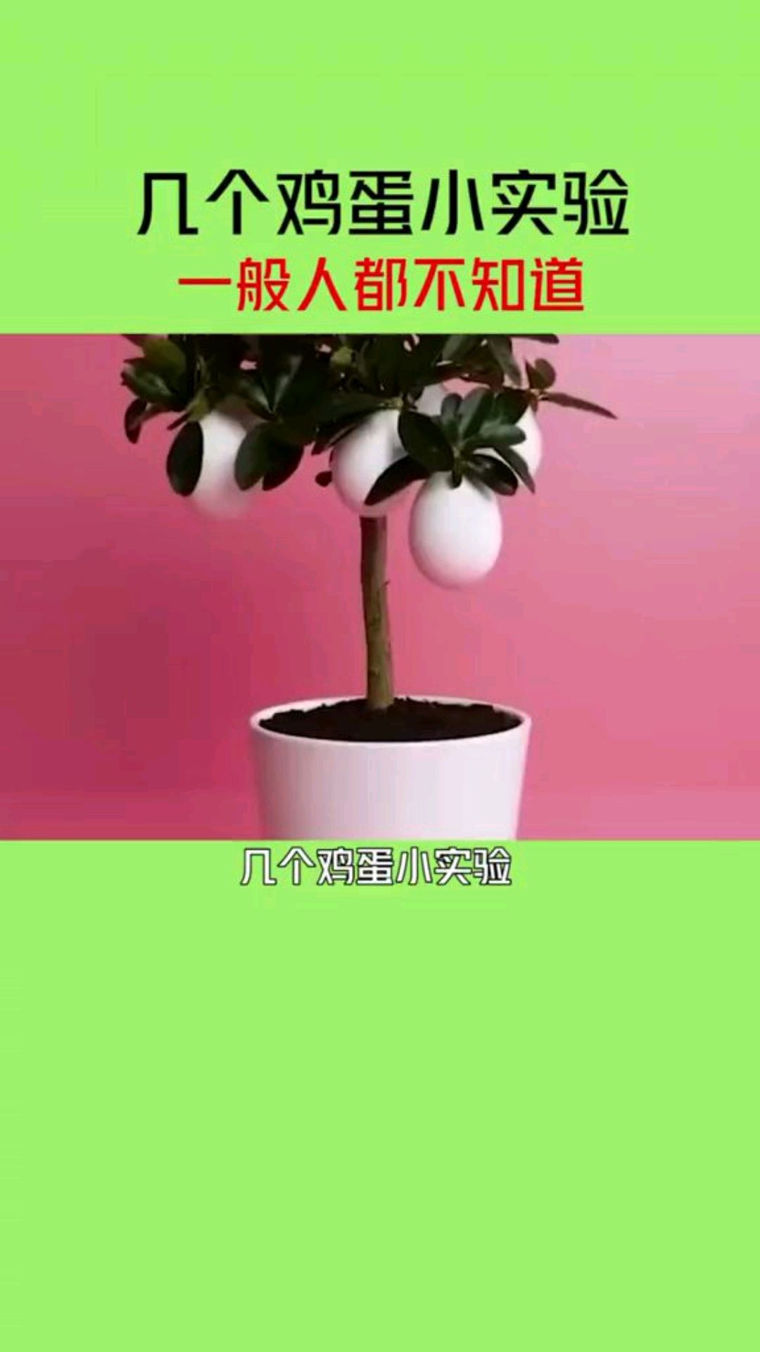 小朋友都喜欢玩的鸡蛋科学小实验