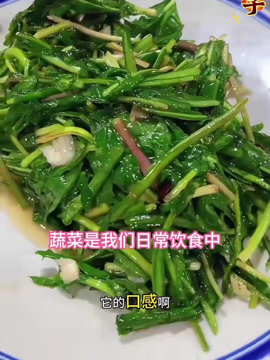 阳台种菜新选择,蒲公英种子撒一把,根叶两用更超值