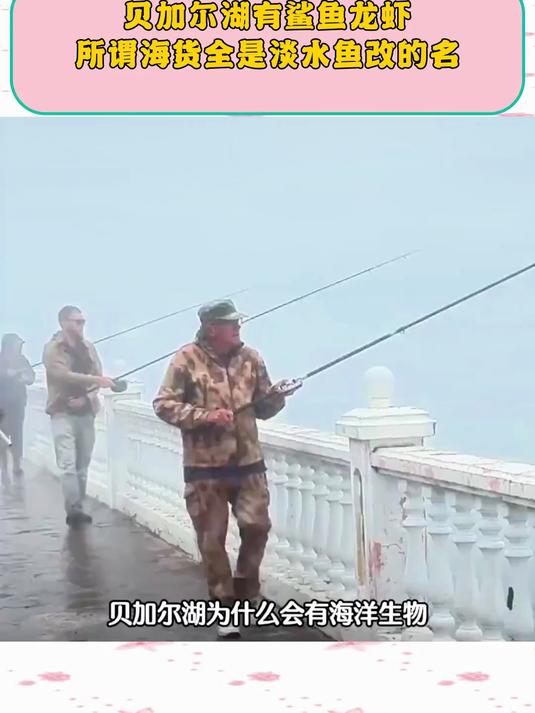 贝加尔湖有鲨鱼龙虾?所谓海货全是淡水鱼改的名