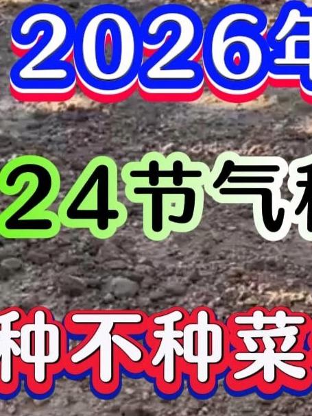 2026年24节气种菜时间表种不种菜都应该记住