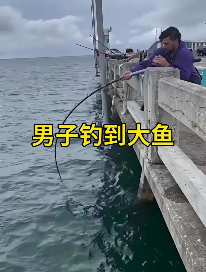 小哥钓到了一条大鱼，鱼竿差点被大鱼折断