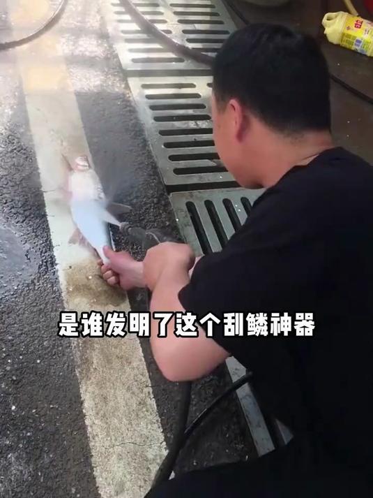 给妈妈买了这个电动刮鳞器,就再也不担心妈妈每次为刮鱼鳞发愁了