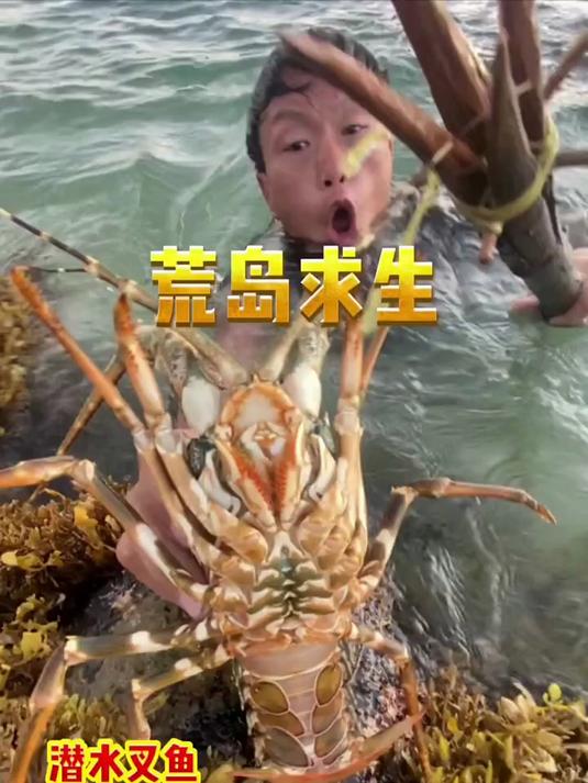 今天带上鱼叉潜入海底,不料偶遇大花龙