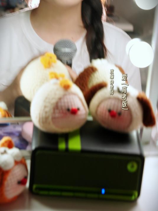 祝愿高考学子们春风得意马蹄疾,最是金榜题名时!冲鸭!