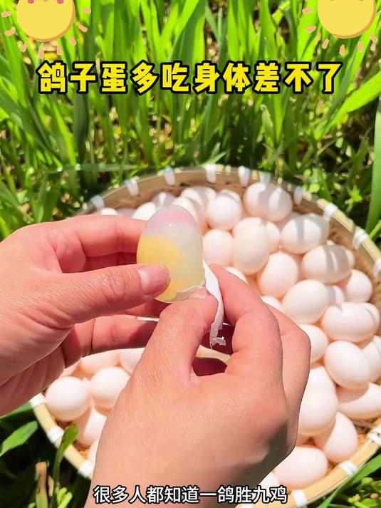 现捡现发!农家散养鸽子蛋,每一口都是新鲜滋味!