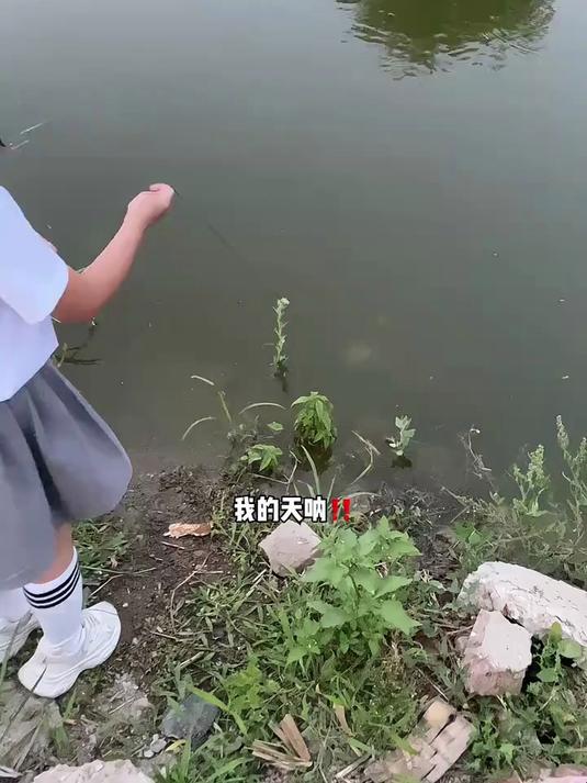 儿童户外捕鱼倒须抓鱼瓶亲子互动工具捉鱼池塘公园小溪工具周末