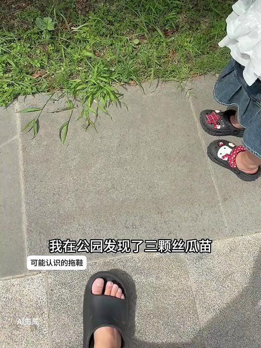 公园发现三颗“野生瓜苗”,种出来请粉丝吃瓜