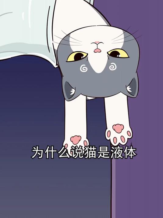 为什么猫咪是液体,猫咪肉垫是什么味道,歪头杀是对你卖萌