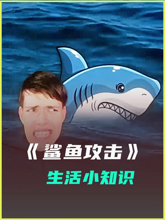 鲨鱼攻击