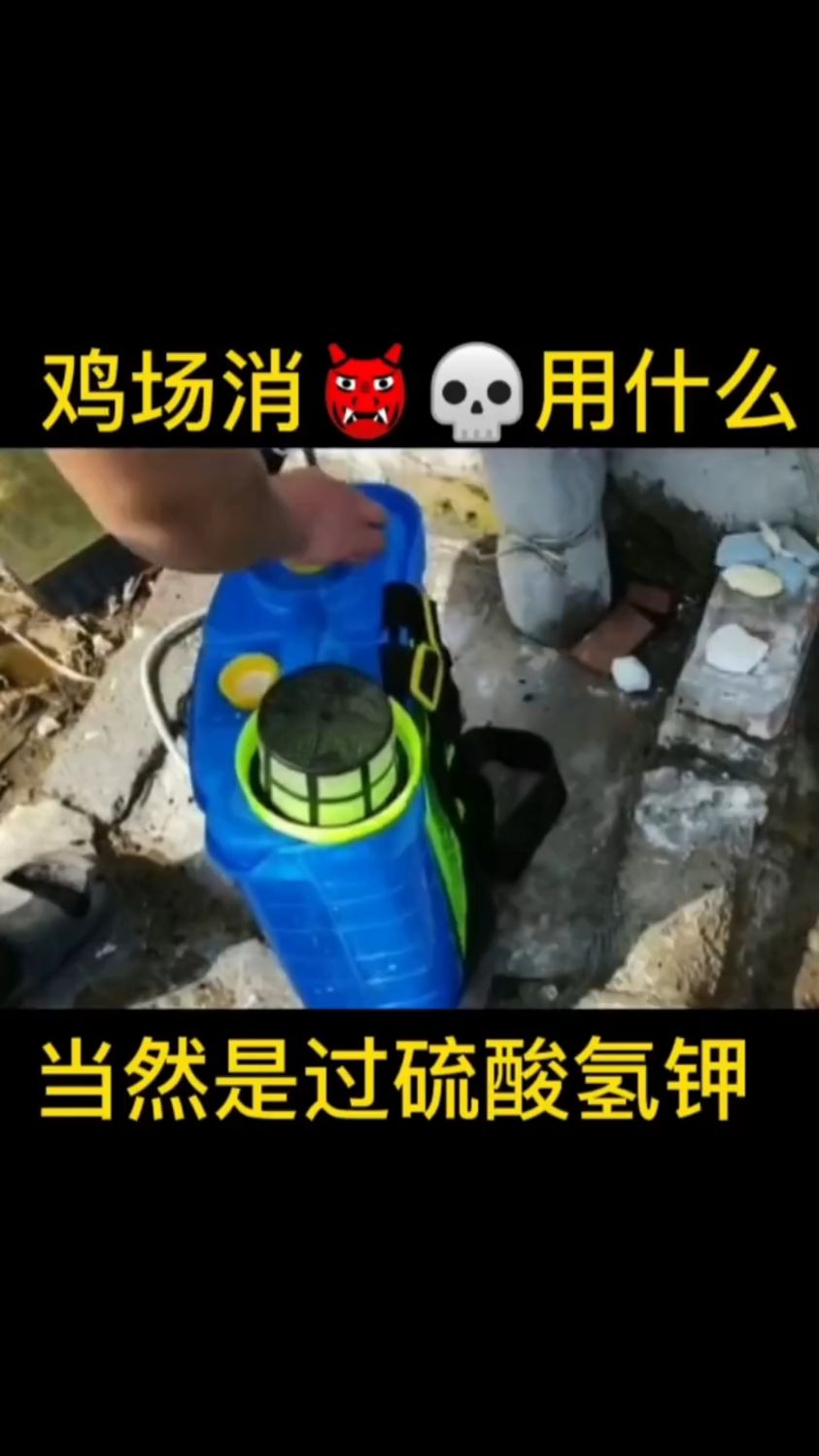 鸡场消毒用什么最好