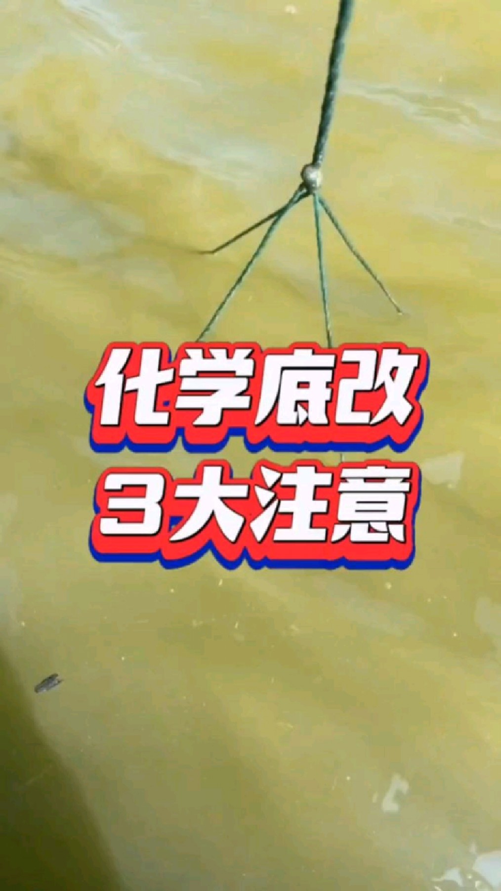 化学底改3大注意