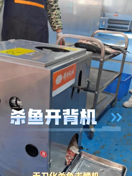 无刀化杀鱼去鳞机,全程杀鱼无需用刀,7秒搞定一条活鱼#杀鱼机杀鱼机厂家全自动杀鱼机##无刀