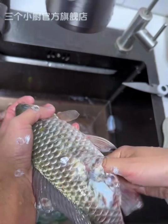 原来收拾鱼能这么简单！就是这个电动刮鳞器，有它给你省不少事