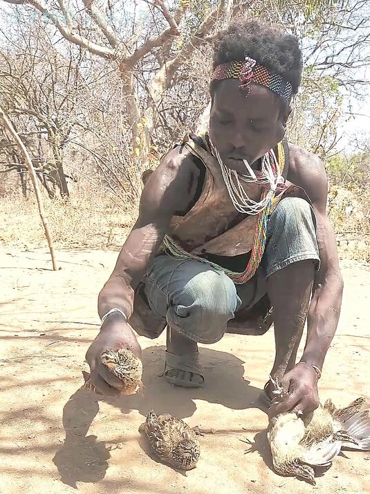 鸡肉大餐的背后:哈扎比人的亲情与生存智慧!