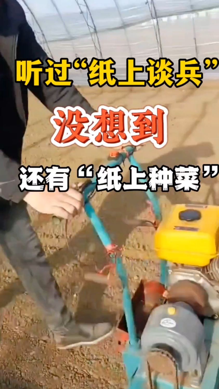 听说过“纸上谈兵”,没想到还有“纸上种菜”