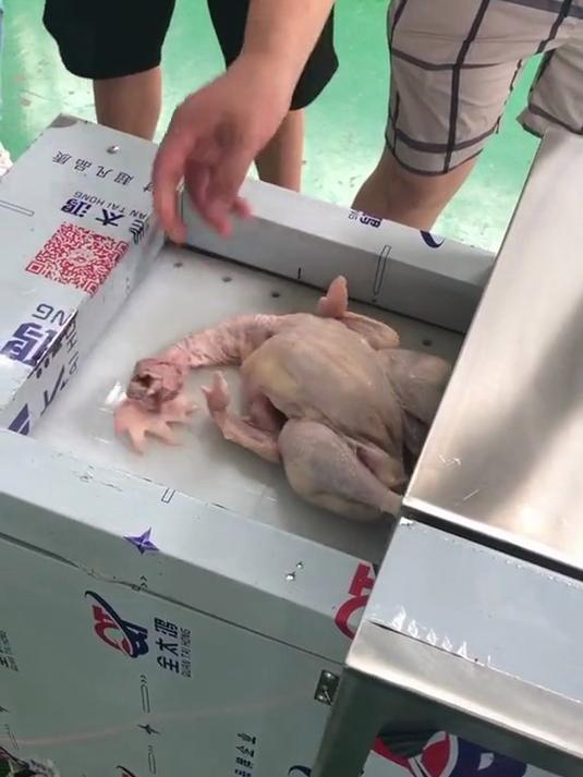 剁鸡块,鸭块,羊排,猪排的机器试机完毕,可以给个评论嘛?