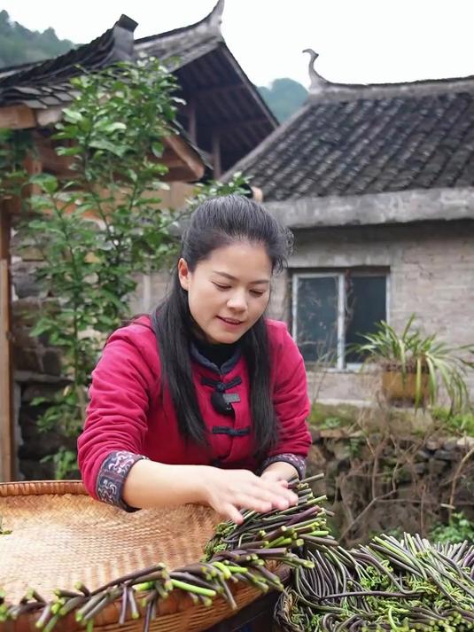 又到了吃蕨菜的季节