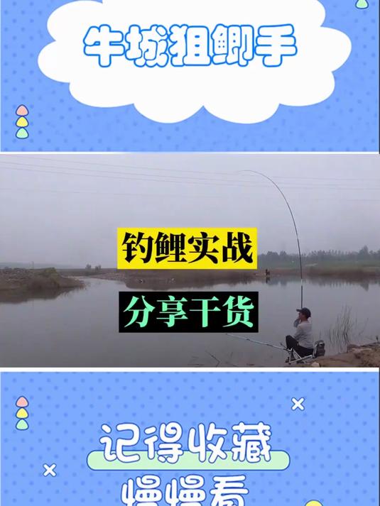 野钓大鲤鱼,学会这套做窝技巧,鲤鱼一钓一个准