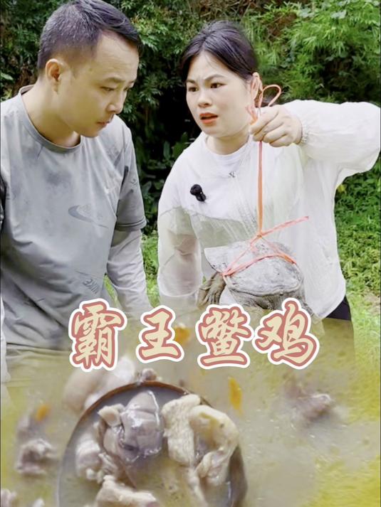 「绝配佳肴」新鲜水鱼与老母鸡,共铸霸王鳖鸡传奇,清甜鲜香!#农村生活# #乡村#