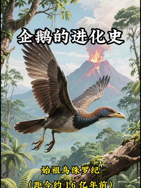 企鹅的进化历程