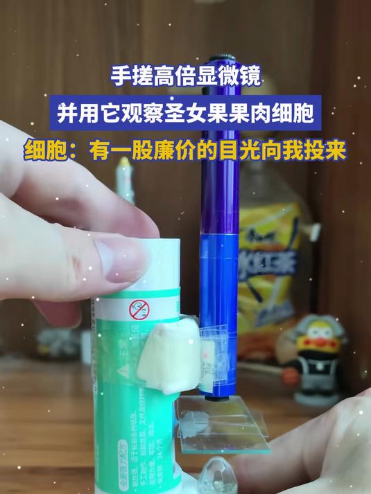 手搓高倍显微镜,并用它观察圣女果果肉细胞 细胞:有一股廉价的目光向我投来#金榜同行时#