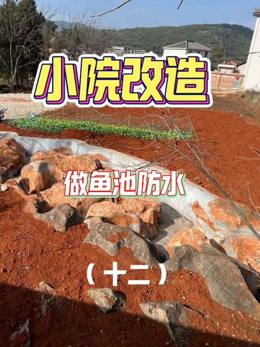 兄弟们,我的天然景观鱼池后续来了