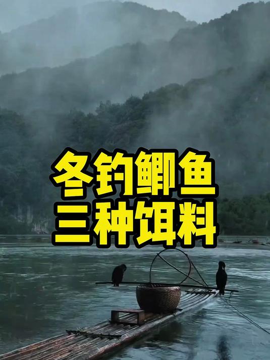 冬季钓鲫鱼，饵料满足3个条件，怎么都会有吃口