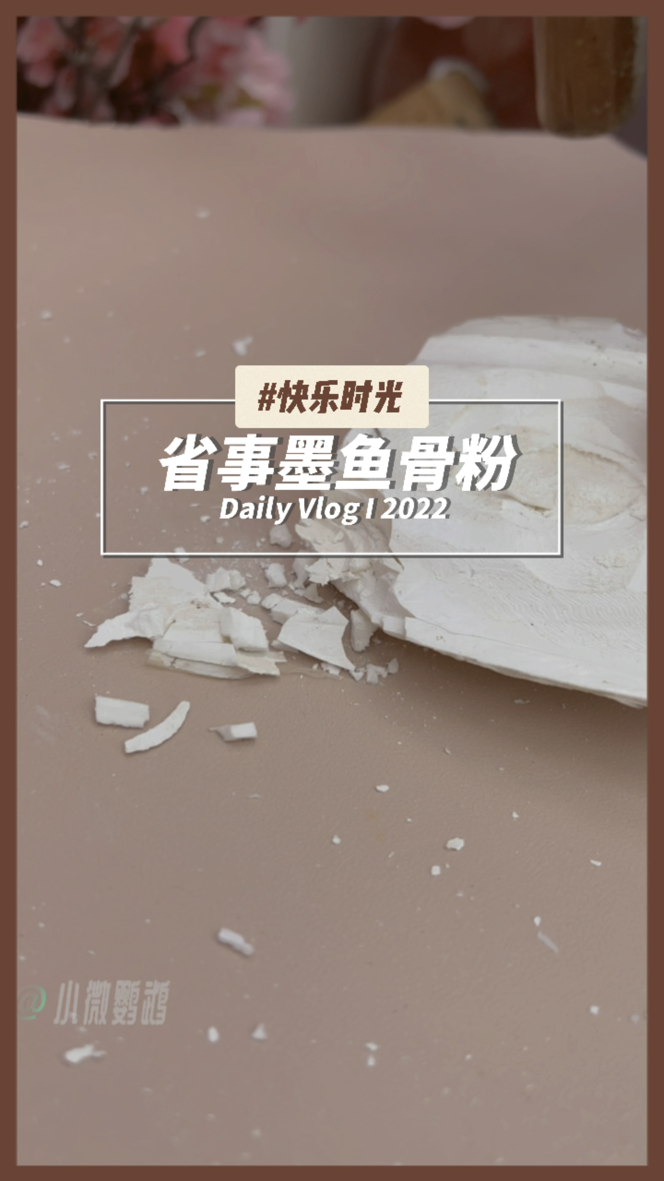 鹦鹉补钙必备神器,磨喙,缺钙,骨骼生长都可以用