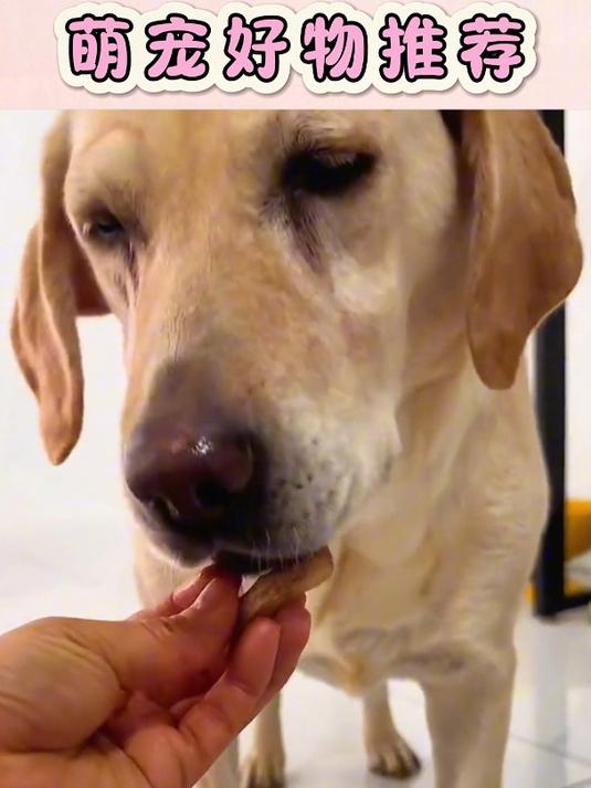味当家冻干鸡脖,猫咪疯狂追捧的美味零食!