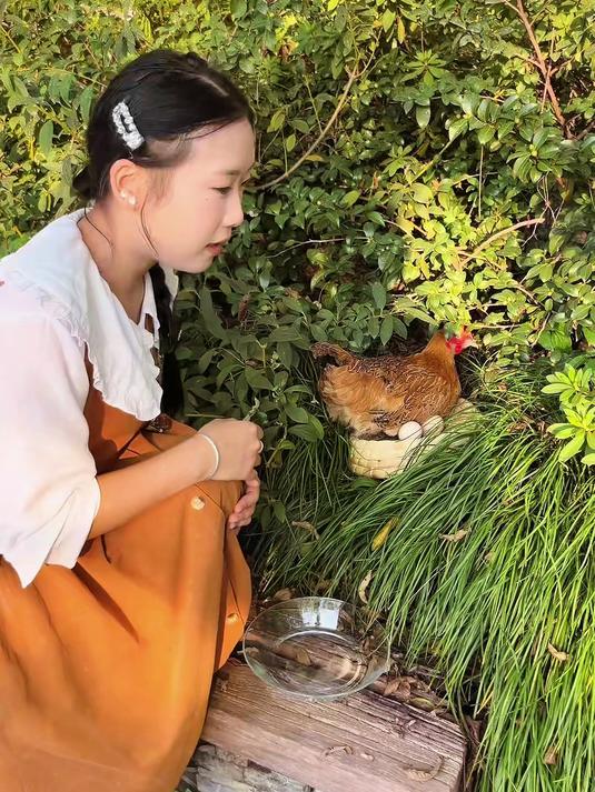 吃鸡蛋就要吃正宗散养的土鸡蛋