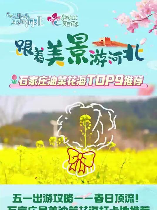 跟着美景河北|五一出游攻略一一春日顶流!石家庄最美油菜花海打卡地推荐