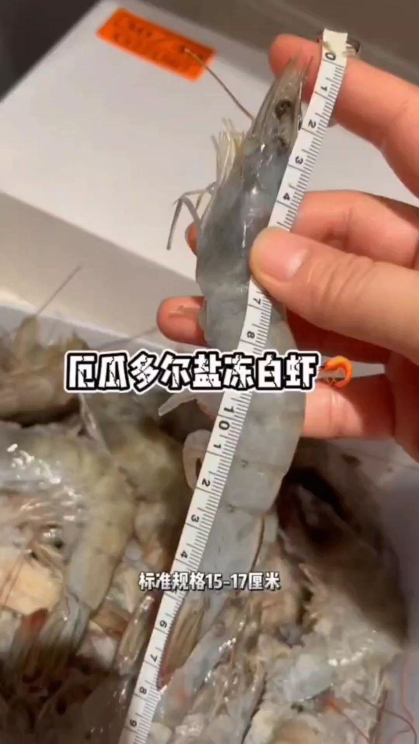 品珍鲜活盐冻白虾1.65kg厄瓜多尔白虾特大号30/40净重3.3斤不包冰