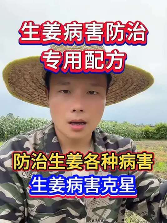 生姜病害咋防治?专用配方来助力!种姜必知
