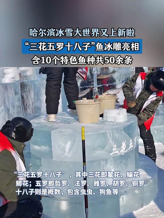 哈尔滨冰雪大世界又上新啦,鱼冰雕亮相,含10个特色鱼种共50余条