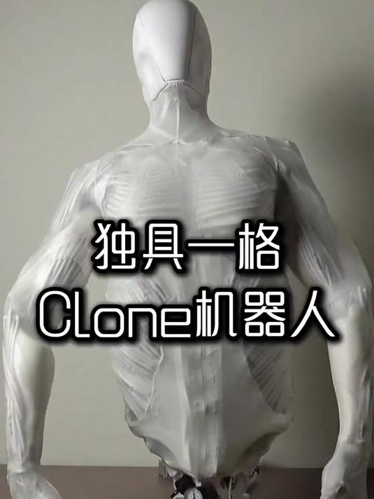 脊椎、骨骼、肌肉、血管、神经等各个部位按人类身体一比一构造
