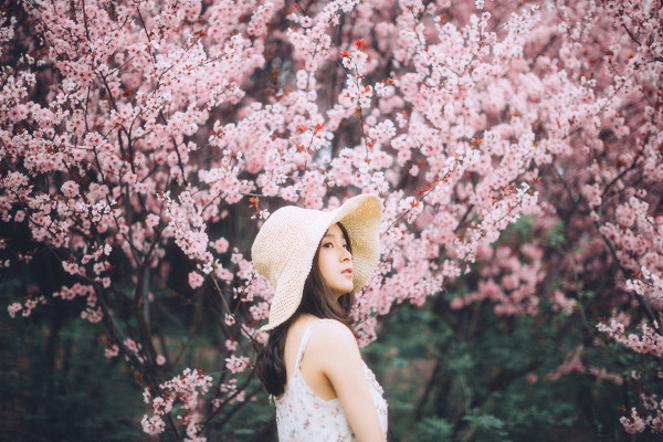 图片[11]-你的花海-六色网