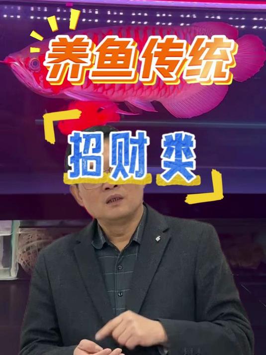 谁懂啊!养鱼招财居然有 3 个祖传讲究