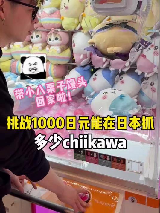 谁敢信1000日币居然带小八栗子馒头回家了?!