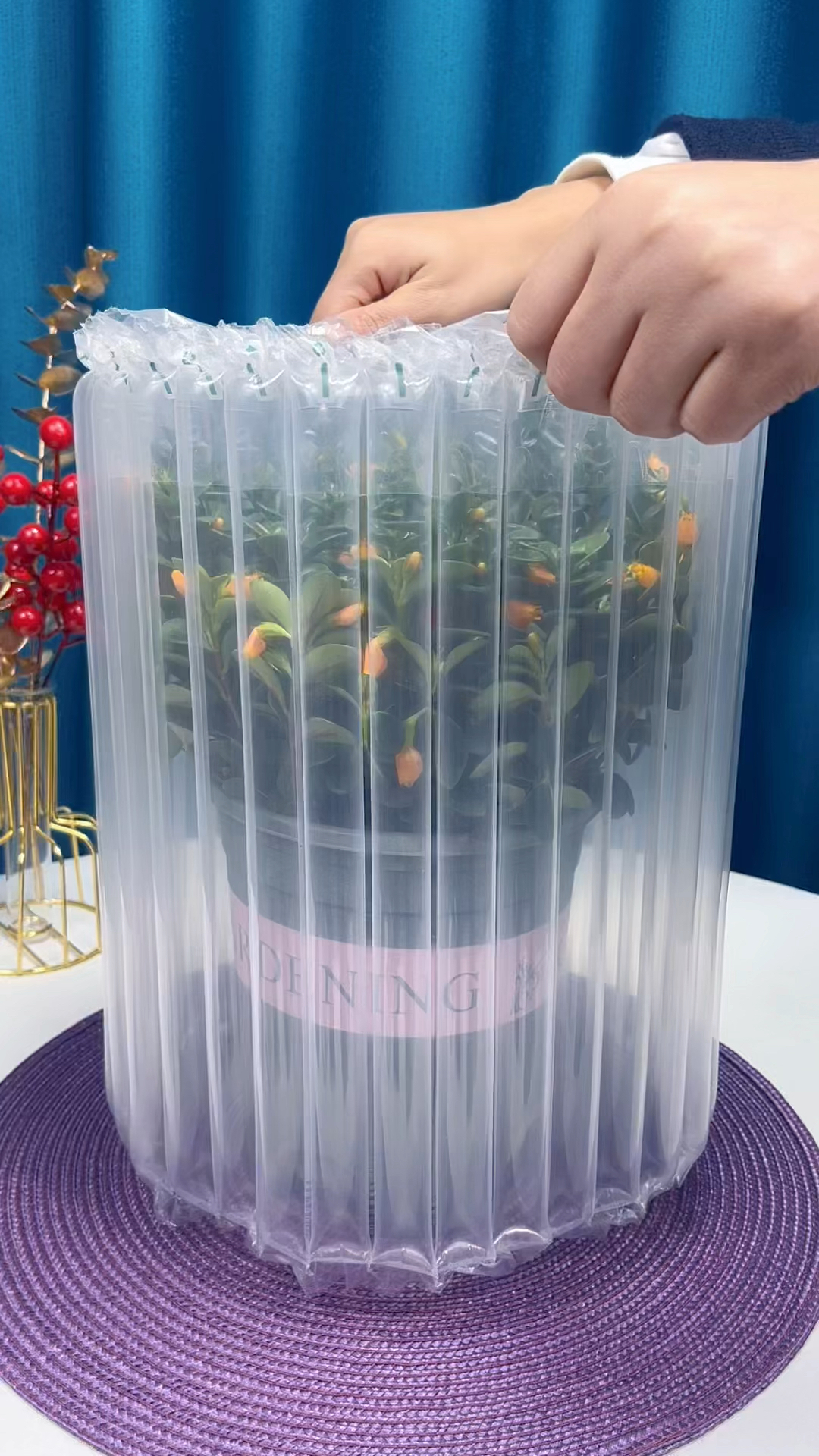 金鱼吊兰又叫金鱼花,因为它开花像一条条小金鱼一样可爱