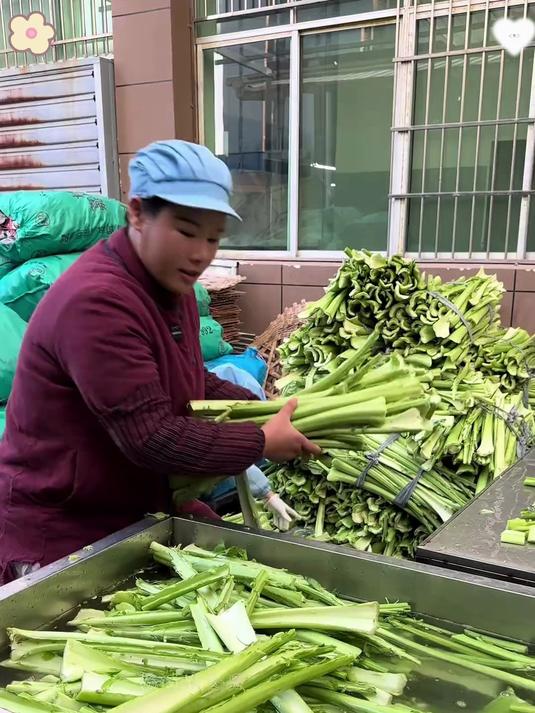 新鲜爽口自制风味剁椒腌菜梗下饭开胃小菜