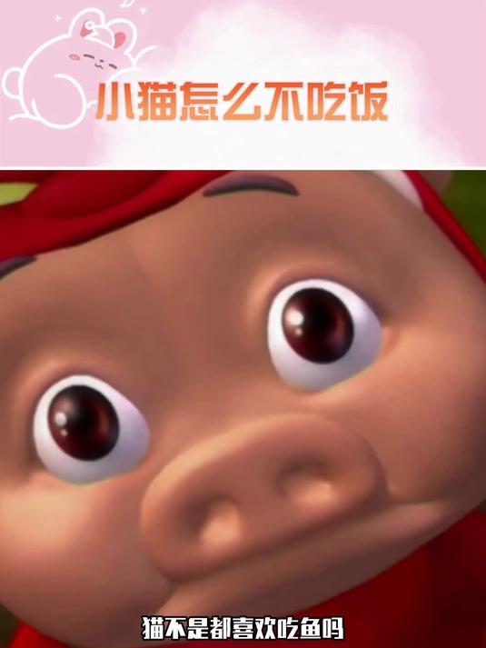 屏幕前的你们觉得咪能吃完吗 猫不是喜欢吃鱼吗 搞笑