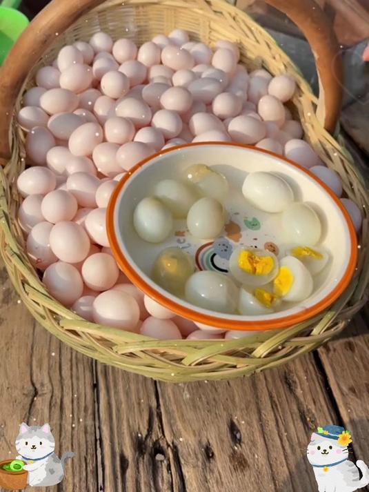 迷你能量弹!鸽子蛋一口爆浆,6 倍鸡蛋营养浓缩在指尖